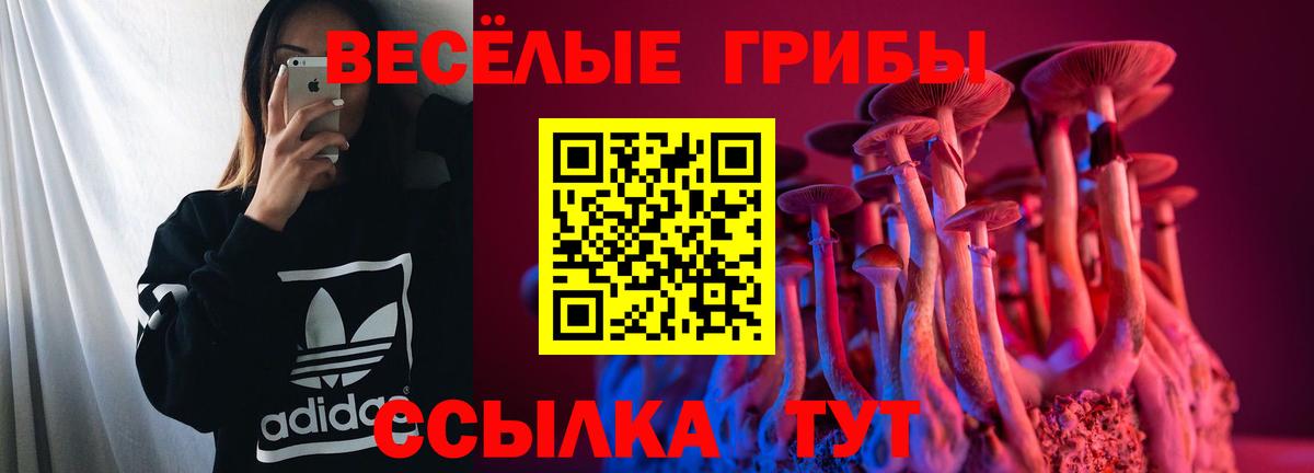 Псилоцибиновые грибы прущие грибы  где продают   Вольск  Вход с VPN 